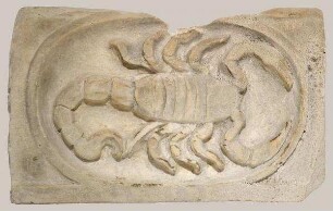 Sternzeichen Skorpion