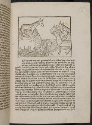 Der Katzenkönig hält Rat mit den Katzen; (Kapitel XVI: Von den Vögeln).
