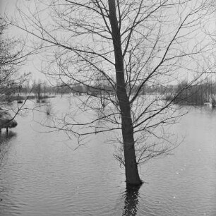 Landschaftsbild. Frühling im Spreewald. Die Wiesen sind überschwemmt. : Wobraz krajiny. Nalěćo w Błótach. Łuki su přepławjene.