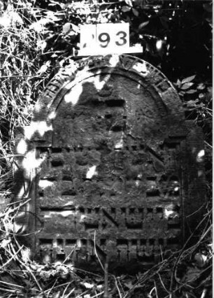 Grabstein 293 (Index: 99897641) Zustand: teils im Boden versunken Maße HxBxT: 70x58x10 cm: Grabstein 293