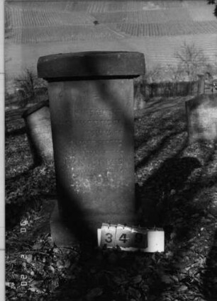 Grabstein 349