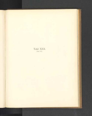 Tafel XXX. (Tafel VII.)