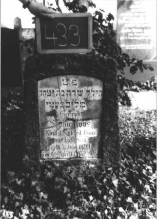 Grabstein 433 (Index: 100111748) Material: Kalkstein, weiße Marmorplatte Zustand: Platte gesprungen, leicht verwittert Maße HxBxT: 69x43x25 cm Beschreibung: Stele, Segmentbogenabschluß, Schriftplatte Besonderheit: Kindergrab: Grabstein 433