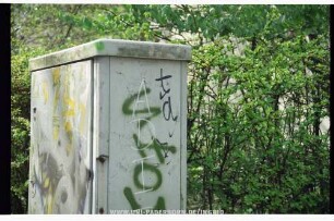 tgB
