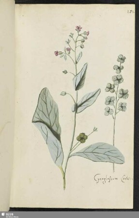 [Blatt 181-195]