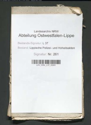 Wiederanlage eines Eisenbergwerks zu Falkenhagen und Rischenau