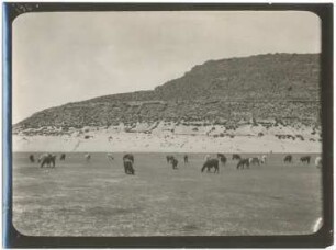 Cerro de Pampa Aullagas mit Kalkstrandlinie