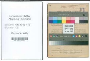 Entnazifizierung Willy Grumann , geb. 01.05.1913 (Feuerwehrmann)