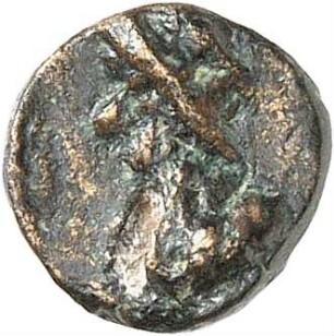 Palmyra