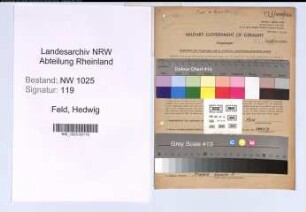 Entnazifizierung Hedwig Feld , geb. 27.03.1896 (Verkaeuferin)