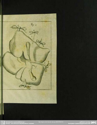 Fig. 3 [Abb. zu §. ]