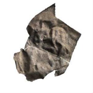 Fundmünze, Brakteat, ca. 1200 - 1250?
