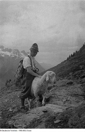 Schafherde und Schäfer im Ötztal