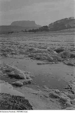 Blick über die Elbe zum Königstein von Prossen aus