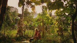 The Look of Silence