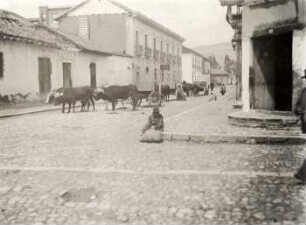 Markt in Riobamba (3/3)