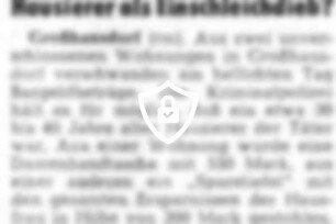 Hausierer als Einschleichdieb?