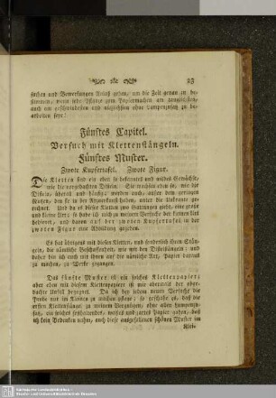 Fünftes Kapitel. Versuch mit Klettenstängeln. Fünftes Muster.