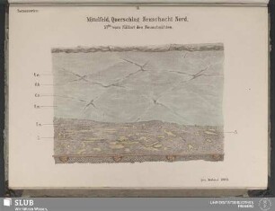 75. Mittelfeld, Querschlag Neuschacht Nord, 57m vom Füllort des Neuschachtes