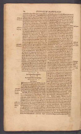Titulus II. De Serpentibus in specie.