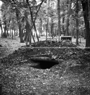 Erdloch mit Hügel und Schild "Villa Bück dich" in einem Wald