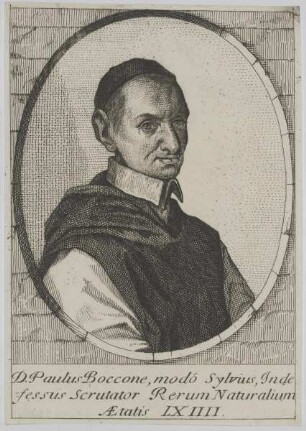 Bildnis des Paulus Boccone