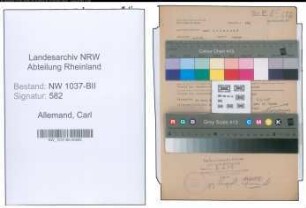 Entnazifizierung Carl Allemand , geb. 04.06.1901 (Lehrer)