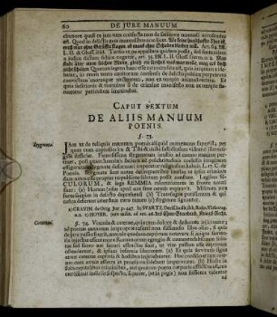 Caput Sextum De Aliis Manuum Poenis.