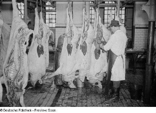 Fleischer befreit die Schweinehälften von Innereien