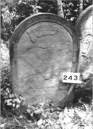 Grabstein 243