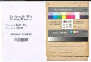 Entnazifizierung Friedrich Schaefer , geb. 11.02.1908 (Buchhalter)