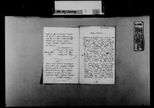 Schreiben von Rudolf Robert Maier, Freiburg, an August Lamey: Gestaltung eines zoologischen Sammlung an der Universität Freiburg.