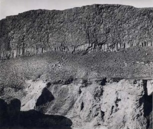 'Steinerner Wald', kristallinischer Basalt, Island