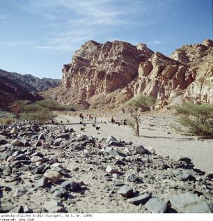 Wanderung, Aufbruch - Sinai - Familie Salem