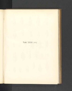 Tafel XXXI [XIX].
