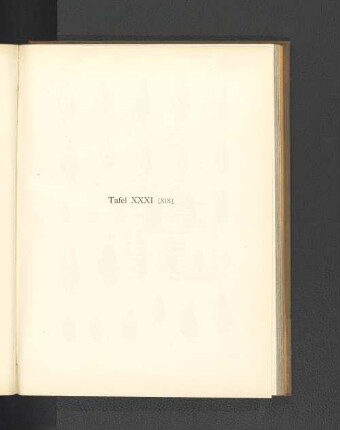 Tafel XXXI [XIX].