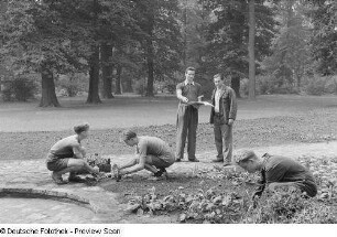 Anlegen von Blumenbeeten im Clara-Zetkin-Park