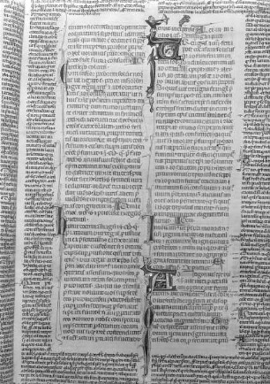 Johannes Andreas in Decretales / Joannis Andree glossa in Decretales — mehrere Initiale, Folio fol. 50 r