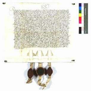 Das Konvent des Dominikanerklosters zu Rottweil verpflichtet sich dem Konvent zu Ulm, als Ausgleich gegen die nach Rottweil gezogenen Mitbrüder, 460 Pfund Heller zu zahlen.