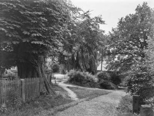 Obercunnersdorf. Weg zum Kirchteich