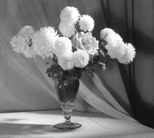 Chrysanthemen in Vasen. Ansicht in Stielglas