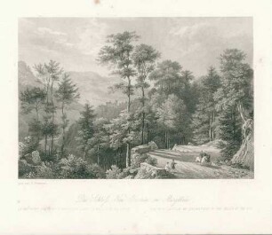 Das Schloss Neu-Eberstein im Murgthale.