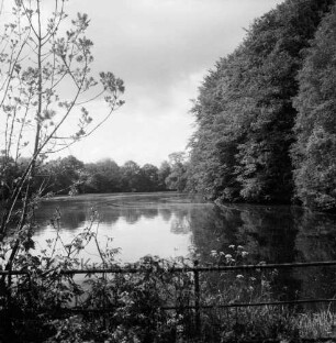 Lasbek-Gut: Lasbeker Mühlenteich: vorn Zaun mit Sträuchern: rechts und im Hintergrund Bäume