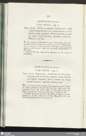 Ammonites Rotula. Tab. DLXX.—figs. 4
