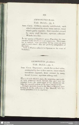 Ammonites Rotula. Tab. DLXX.—figs. 4