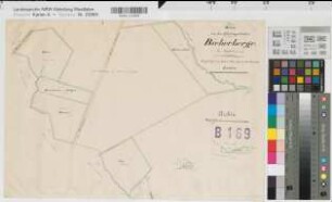 Böingsen (Menden), Teilung des Bieberberges, Reinkarte