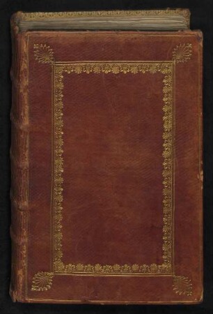 P. Ovidius Naso: Metamorphoses : Ms. Diez. B Sant. 2