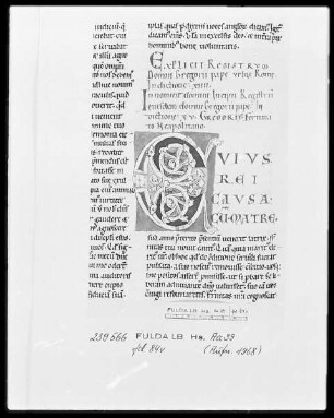 Gregorius Magnus, Registrum epistularum et Regula Pastoralis — Initiale C, Folio 84verso