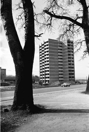 Freiburg; Landwasser: Hochhaus Nord; Vordergrund Baum