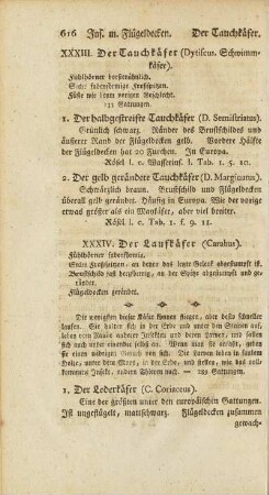 XXXIV. Der Laufkäfer